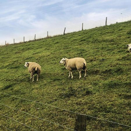 Hoeve Alegria Hoogwoud Dış mekan fotoğraf